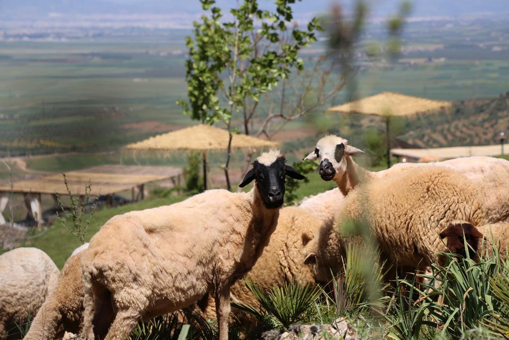 Dar El Mandar - Ferme & Table D'Hote Berbere Bhalil Екстериор снимка